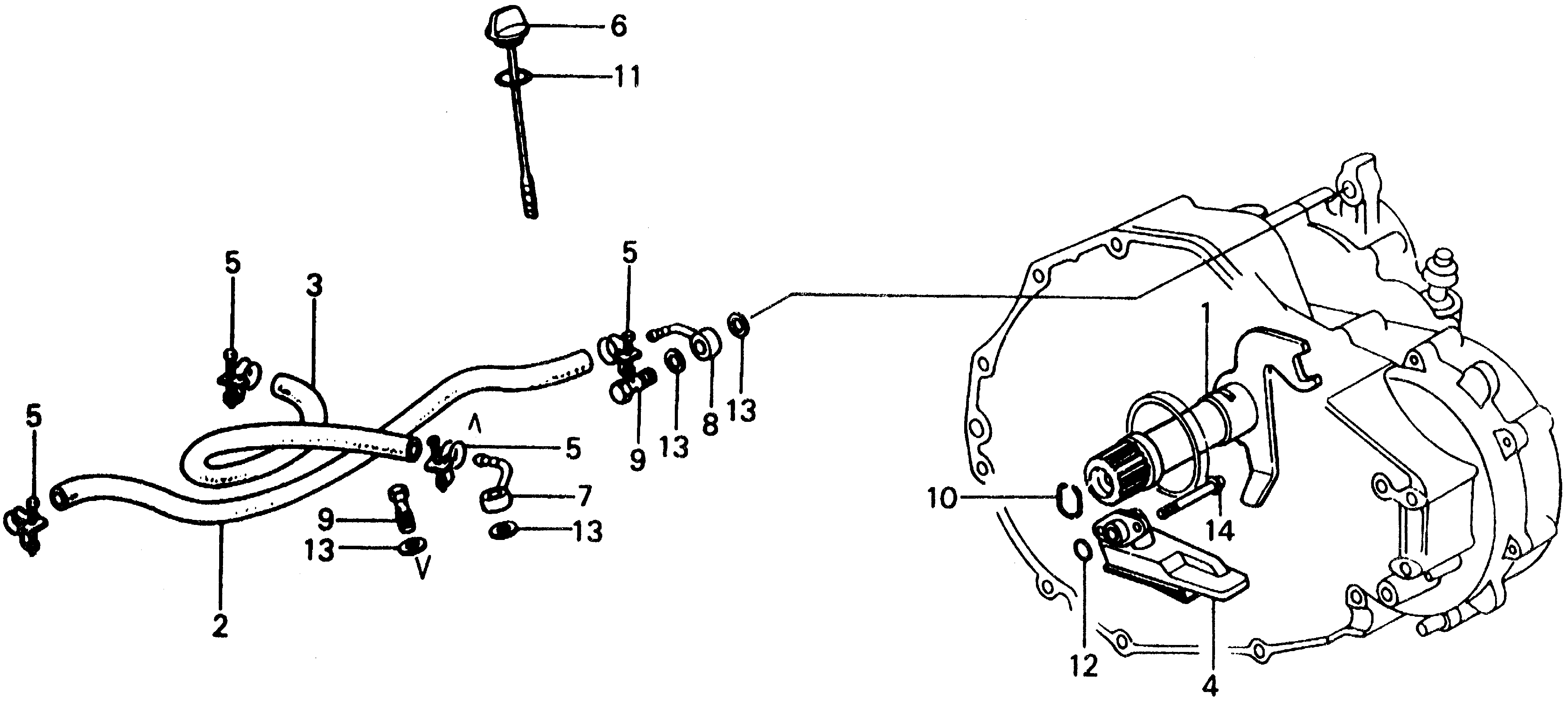 25212-639-901 - HOSE, IN. OIL COOLER